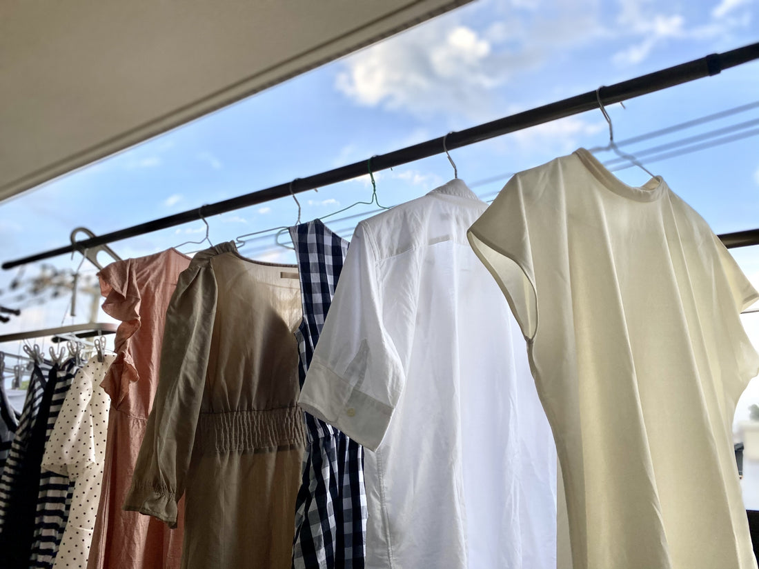 【秋の洗濯悩み】カメムシが洗濯物につく!原因や対策方法とは?洗濯研究家が解説