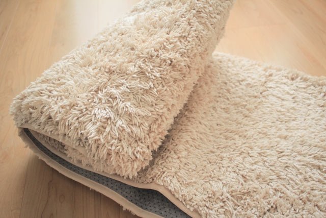 食べこぼしのシミを取る「 カーペット 」や「 ラグ 」の洗い方| お洗濯 の基本を学ぶVol.14