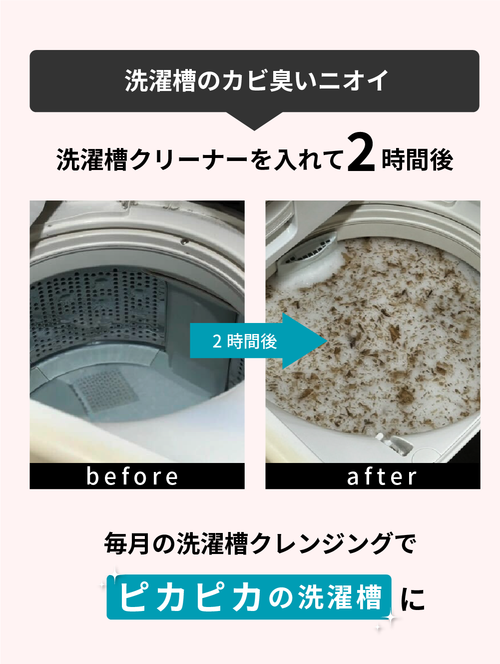 洗濯槽クリーナー Rinenna#3 TUB CLEANER