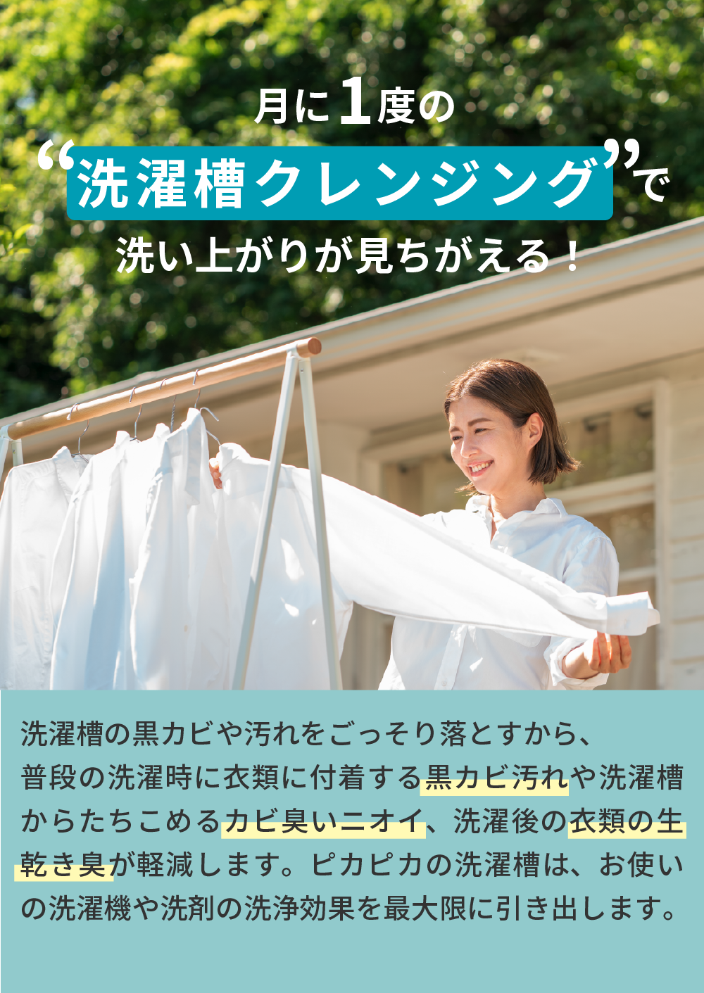 洗濯槽クリーナー Rinenna#3 TUB CLEANER