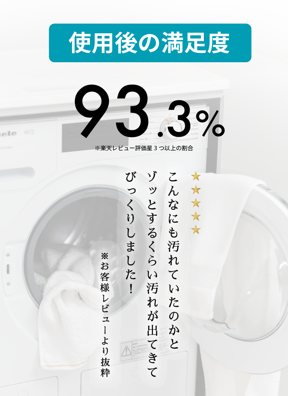 洗濯槽クリーナー Rinenna#3 TUB CLEANER