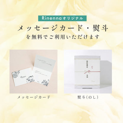 【e-gift専用】【住所を知らなくても贈れるギフト】【ギフトセット】おしゃれ着洗剤Rinenna No.8と高級柔軟剤Rinenna No.9のSET ギフト商品