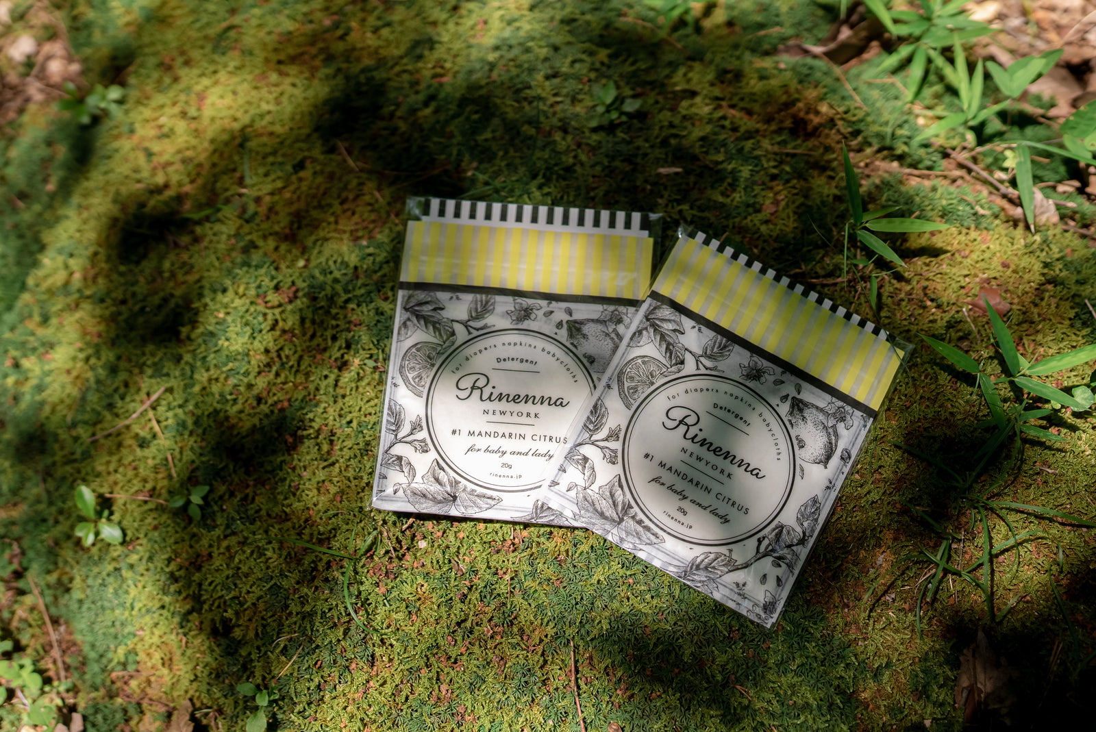 D. キャンペーン