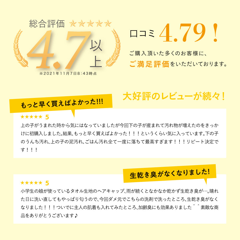 （テスト商品定期便・ご購入いただけません）Rinenna #2 (リネンナ) つけおきメイン 洗濯用洗剤 800g (Mikawayaテスト)
