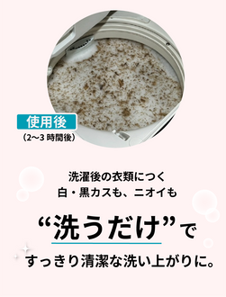 洗濯槽クリーナー Rinenna#3 TUB CLEANER