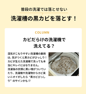 洗濯槽クリーナー Rinenna#3 TUB CLEANER