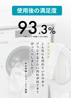 洗濯槽クリーナー Rinenna#3 TUB CLEANER